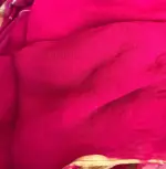 Pink Block Printed Chiffon Saree - Image 7