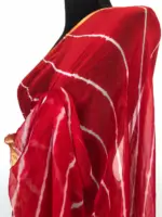 Red Block Printed Chiffon Saree - Image 5