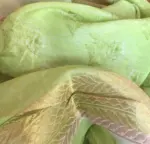 Green Linen Silk Saree with Beautiful Prints along with Antique Zari Border - Image 7