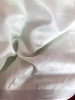 Pastel Green Linen Saree - Image 7