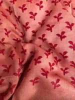 Red Brasso Saree - Image 9