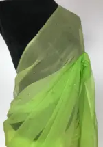 Ombre Green Chiffon Saree with Badla work - Image 5