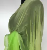 Ombre Green Chiffon Saree with Badla work - Image 6