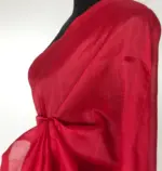 Scarlet Red Pure Mangalagiri Silk Saree - Image 7