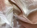 Gold Organza Pure Tissue Silk Saree with Kadwa Zari Motifs - Image 6