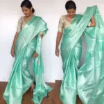Mint Banarasi Silk Saree with Silver Zari Weaves - Image 5