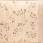 Peach Chiniya Silk Saree with Printed Florals - Image 5