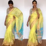 Pastel Yellow Mangalagiri Silk Saree with Gold Zari Kanchi Silk Border - Image 3