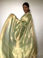 Sea Green Pure Tissue Silk Saree with Tanchui Weaves - Image 6