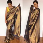 Navyblue Banarasi Silk Saree with Gold Zari Weaves - Image 4