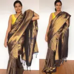 Navyblue Banarasi Silk Saree with Gold Zari Weaves - Image 5