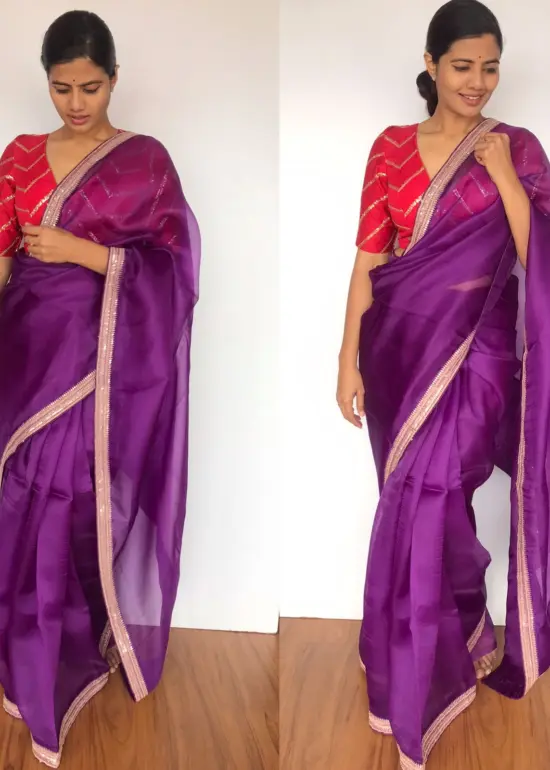 Eggplant Purple Hand Embroidered Organza Silk Saree