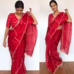 Dark Red Hand Embroidered Organza Silk Saree