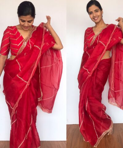 Dark Red Hand Embroidered Organza Silk Saree