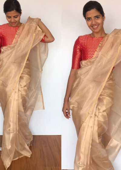 Pure Gold Tissue Silk Saree