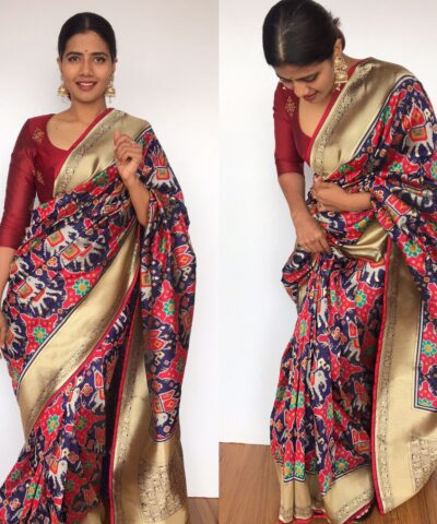 Blue Banarasi Patola Silk Saree