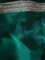 Bottle Green Organza Silk Saree with Embroidery Border adorned with Badla work - Image 7