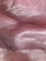 Onion Pink Tissue Silk Saree highlighted with Silver Zari Border - Image 6