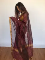 Coffee Brown Mangalagiri Silk Saree Handwoven in Gold Zari Checks - Image 2