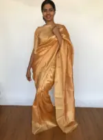 Pure Peach Tissue Silk Saree with Tanchui Weaves - Image 3