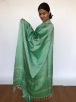 Mint Chinnalapattu Saree - Image 2