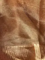 Metallic Gold Tissue Silk Saree - Image 7