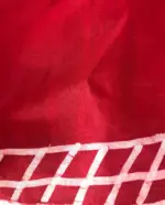 Red Pure Silk Saree with Hand Painted Florals - Image 6