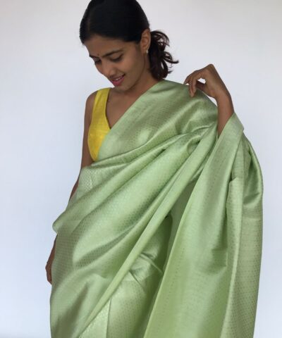 Pastel Green Banarasi Silk Saree with Silver Zari Weaves