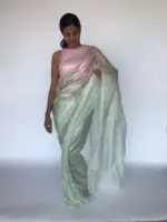 Sea Green Hand Embroidered Tissue Organza Silk Saree8901 - Image 2