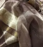 Metallic Brown Tissue Silk Saree with Resham Zari Weaves highlighted with Jacquard Zari Border - Image 7