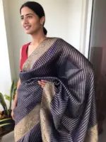 Navy Blue Organza Saree highlighted with Gold Weaves