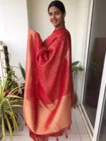 Scarlet Red Organza Saree highlighted with Gold Weaves - Image 4