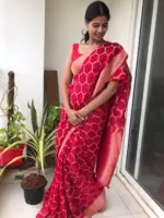 Scarlet Red Organza Saree highlighted with Mughal Zari Weaves - Image 3