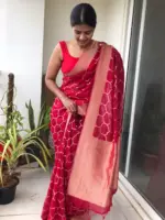 Scarlet Red Organza Saree highlighted with Mughal Zari Weaves - Image 5