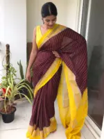 Brown Chiffon Silk Saree highlighted with Striped Body and contrast edging - Image 5