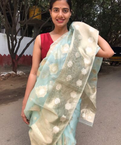 Mint Organza Silk Saree with Zari Buttas all over