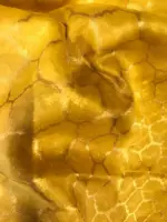 Yellow Organza Silk Saree with Beautiful Floral Embroidery - Image 6