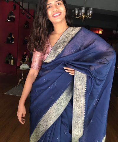 Navyblue Organza Silk Saree with Gold Zari Weaves highlighted with Sequins Embroidery