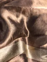 Metallic Gold Tissue Organza Silk Saree - Image 7