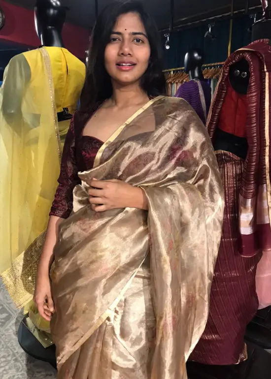 Gold Printed Tissue Organza Silk Saree