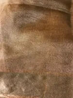 Gold Caramel Tussar Tissue Silk Saree - Image 7