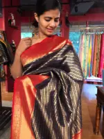 Navy Blue Banarasi Silk Saree highlighted with gold and silver zari weaves