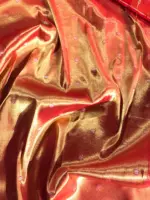 Navy Blue Banarasi Silk Saree highlighted with gold and silver zari weaves - Image 7