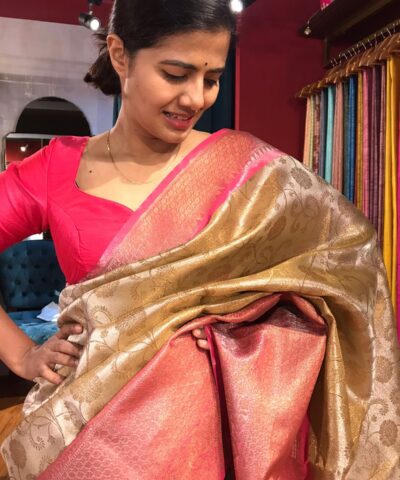 Ivory Tissue Silk Saree with contrast border