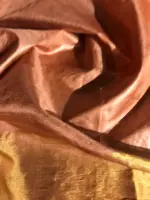 Nude Brown Pure Tussar Silk Saree highlighted with Gold Zari Border - Image 6