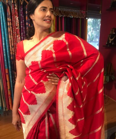 Scarlet Red Banarasi Silk Saree highlighted with Gold Zari Weaves