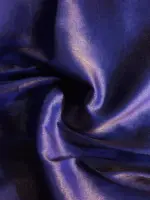 Royal Blue Banarasi Silk Saree highlighted with Gold Zari Weaves - Image 5