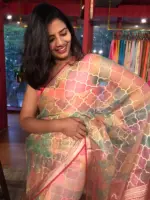 Multicolored Organza Saree