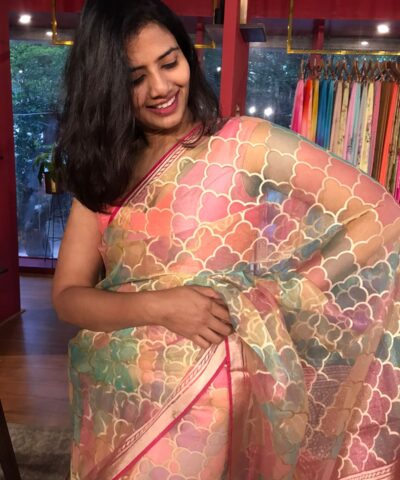Multicolored Organza Saree
