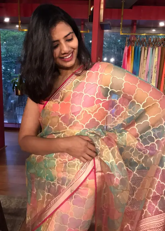 Multicolored Organza Saree
